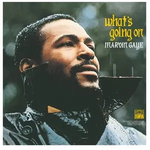 Comparateur de prix : Disques vinyle Funk Soul Universal Marvin Gaye - What's Going On