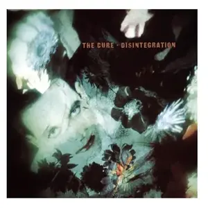 Comparateur de prix : IMS-POLYDOR LP  de The Cure - Disintegration - pour Unisexe - Standard Standard