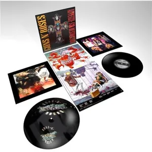 Comparateur de prix : ImportCDs Appetite For Destruction Double Vinyle 180 gr Gatefold