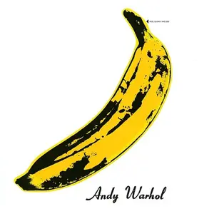 Comparateur de prix : POLYDOR The Velvet Underground - The Velvet Underground & Nico (45th Anniversary) (LP)