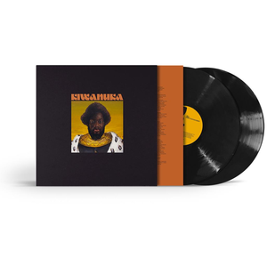 POLYDOR Michael Kiwanuka - Kiwanuka (2 LP) pas cher
