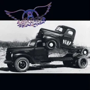 Comparateur de prix : IMS-GEFFEN RECORDS Aerosmith - Pump - LP - Bertus