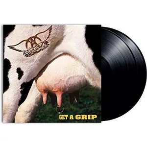 Comparateur de prix : IMS-GEFFEN RECORDS Polydor Get a grip Double Vinyle Gatefold Inclus coupon MP3 - 4795439