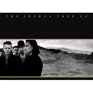 Comparateur de prix : ISLAND U2 - The Joshua Tree - 30th Anniversary - 2 Vinilos