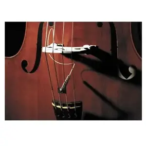 Comparateur de prix : Fishman Classic Series FULL CIRCLE UPRIGHT - Pickup pour double basse