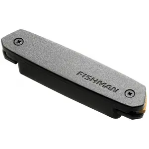 Fishman Micro NEO-d Double Bobinage Humbucker Micros guitares acoustiques