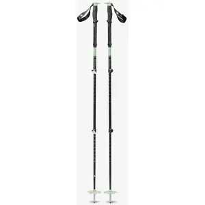 Comparateur de prix : Bâtons Black Diamond Expedition 3 Ski noir vert clair (paire) - 125