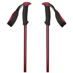 Comparateur de prix : Bâton de randonnée Black Diamond Trail Back