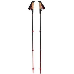Comparateur de prix : Black Diamond - Pursuit Shock - Bâtons de randonnée taille M/L, gris/ octane