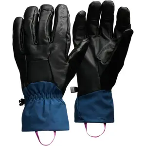 Comparateur de prix : BLACK DIAMOND Gants Tour Pro noir | S
