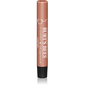 Comparateur de prix : Burt’s Bees Lip Shimmer brillant à lèvres teinte Caramel 2.6 g