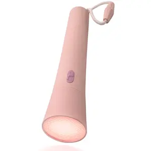 Comparateur de prix : Lalarma Lampe torche pour enfant rose