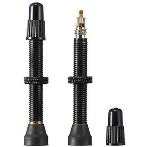 Paire de valves tubeless ritchey presta noir
