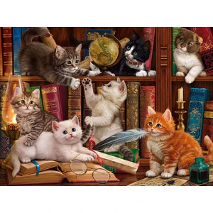 Chatons dans la Librairie 1000 Pièces  SunsOut pas cher