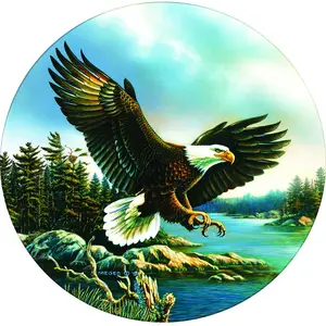SunsOut L'Atterrissage de l'Aigle pas cher