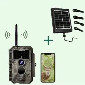 BlazeVideo Piège Photographique Wifi Photo 32MP Video 1296P W600 + kit... pas cher