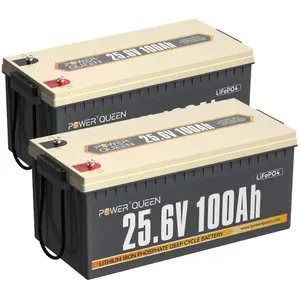 Batterie Lithium 24V100Ah 2560Wh Rechargeable LiFePO4 Power Queen bms 100A, 4000-15000 Cycles, pour solaire, Hors réseau, stockage de l'énergieVendu parcdiscount