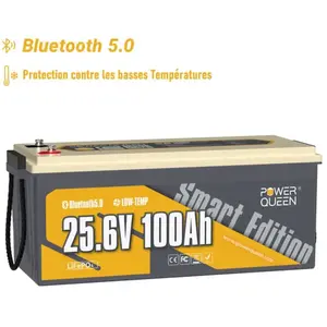 Batterie Lithium 24V100Ah 2560Wh Bluetooth LiFePO4 Power Queen bms 100A amélioré, protection à basse température,4000-15000 Cycles, pour solaire,Vendu parcdiscount
