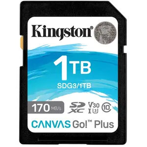 Canvas Go Plus Carte sd 1TB sdxc 170R C10 uhs-i U3 V30 (SDG3/1TB) - KingstonVendu parpixmania