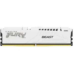 Module de mémoire Technology FURY Beast 16 Go 1 x 16 Go DDR5 5600 MHz