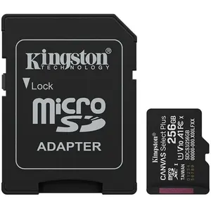 Comparateur de prix : Kingston Canvas Select Plus SDCS3/256GB
