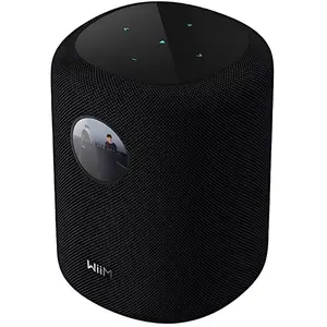 Comparateur de prix : Enceintes connectées WiiM Sound Display Noir