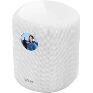 WiiM SOUND DISPLAY - Enceintes sans fil multiroom pas cher