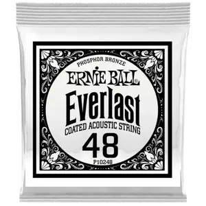 Ernie Ball Everlast Coated Phophore Bronze 48 Cordes folk à l'unité
