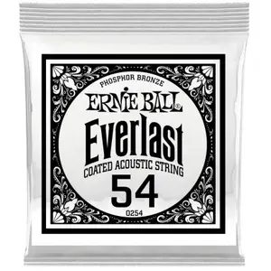 Ernie Ball Everlast Coated Phophore Bronze 54 Cordes folk à l'unité