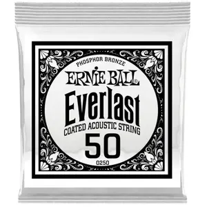 Ernie Ball Everlast Coated Phophore Bronze 50 Cordes folk à l'unité pas cher