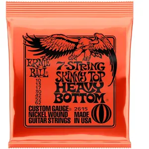 Ernie Ball Electric 2615 Skinny Top Heavy Bottom 7-String 10/62