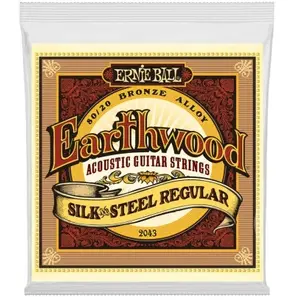 Ernie Ball Cordes 2043 Regular silk