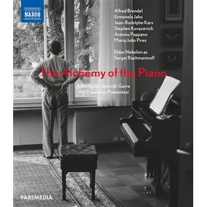 NAXOS The Alchemy of the Piano pas cher