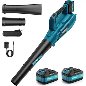 CIRCLIO Souffleur feuilles sans fil 18V/5200mAh - 850W brushless, 180 ... pas cher