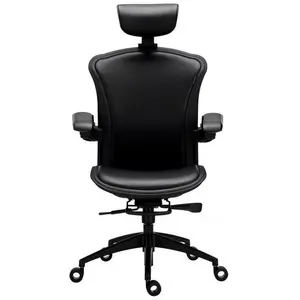 Tesoro Alphaeon E5, Chaise gaming, Noir