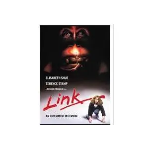 Import Link Blu-ray pas cher