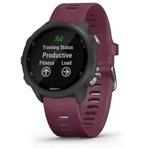 Garmin Forerunner 245 gris et bracelet en silicone merlot pas cher