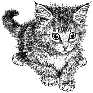 Artemio Tampon Bois - Chaton crépu - 5 x 5 cm pas cher