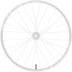 Zipp Soupape Tubeless Universal 70 Mm One Size pas cher