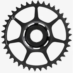Comparateur de prix : Sram Couronne X-Sync 2 16T pour E-MTB Bosch Montée Directe Noire en Acier