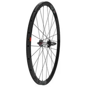 Sram Roue Arrière De Vtt Rise Xx 29´´ Disc 12 x 142 mm