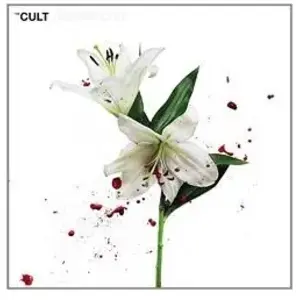 Hidden City The Cult (Interprète) Vinyle albumVendu parrakuten
