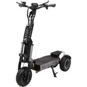 Trottinette électrique tout-terrain OOTD T30 à 3 roues, double moteur ...