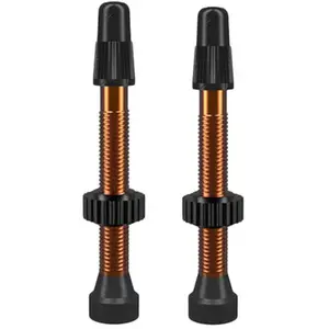 Wtb Vannes Presta Tubeless TCS en Aluminium Orange 46mm - Paquet de 2 Pièces pas cher