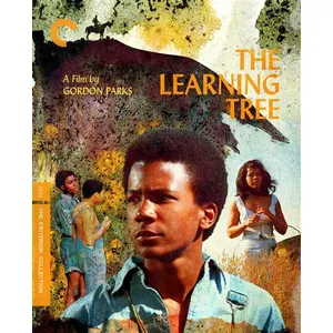 Import The Learning Tree Blu-ray