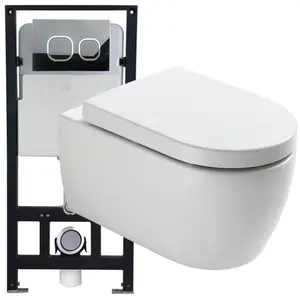 Bernstein WC suspendu offre spéciale pack économique 1: NT2038, et bâti-support G3004A avec plaque de déclenchement Modèle 4111 satinVendu paramazon