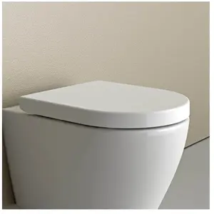 Bernstein Abattant WC plastique Lunette WC, Cuvette toilette fermeture en douceur, Blanc, 42,5x36,3x4,9cm, U1009Vendu paramazon