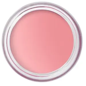 Comparateur de prix : Bobbi Brown Pot Rouge Velvet Matte Blush 10 g