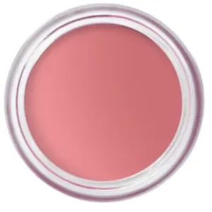 Comparateur de prix : Bobbi Brown Pot Rouge Velvet Matte Blush 10 g