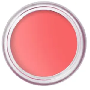 Comparateur de prix : Bobbi Brown Pot Rouge Velvet Matte Blush 10 g
